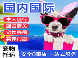 吴川机场物流国际宠物托运 【国